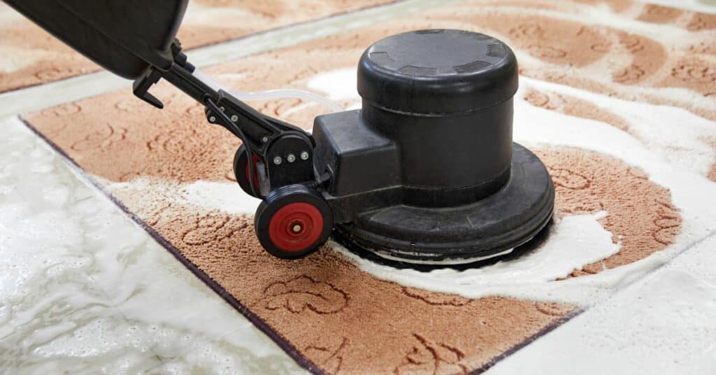 להשאיר את העבודה למומחים מדוע כדאי לתת למומחים לנקות את השטיח שלכם