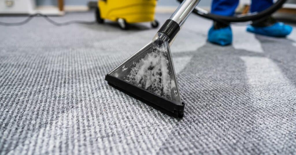 ניקוי מקצועי מפיח חיים בשטיח