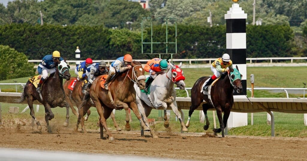 באילו תחומי ספורט ניתן להמר אונליין ובמה מומלץ לבחור?